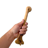 Realistic Lightweight Rigid Foam Humerus Prop - Dependable Expendables