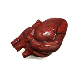 Pro Series Haunt Prop Hand-Sculpted Heart expertly hand-painted in several layers to create a visceral, realistic and bloody looking heart that appears as if it's just been torn out of someone's body. Kali ma, shakthi deh!