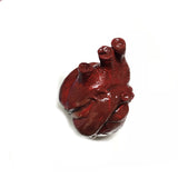 Pro Series Haunt Prop Hand-Sculpted Heart expertly hand-painted in several layers to create a visceral, realistic and bloody looking heart that appears as if it's just been torn out of someone's body. Kali ma, shakthi deh!