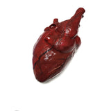 Pro Series Haunt Prop Hand-Sculpted Heart expertly hand-painted in several layers to create a visceral, realistic and bloody looking heart that appears as if it's just been torn out of someone's body. Kali ma, shakthi deh!