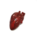 Pro Series Haunt Prop Hand-Sculpted Heart expertly hand-painted in several layers to create a visceral, realistic and bloody looking heart that appears as if it's just been torn out of someone's body. Kali ma, shakthi deh!