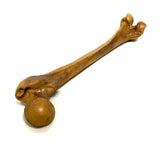 Femur Bone Special Effects Prop Clean - Dependable Expendables