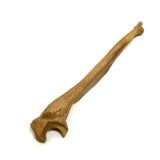 Clean Realistic Ulna Bone Lightweight Rigid Foam television, film, theater Prop 