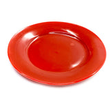 SMASHProps Breakaway Large Dinner Plate - Dependable Expendables