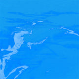 blue color silent cellophane gift flower wrap Dependable Expendables