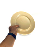 SMASHProps Breakaway Medium Dinner Plate - Dependable Expendables