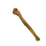 Realistic Ulna Bone Lightweight Rigid Foam Prop for cosplay or Halloween costume accessory.